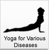 Yoga Vidya Gurukul, India: Yoga for Various Diseases