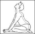 Yogasana Images