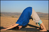 Yogasana Images