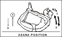 Yogasana Images