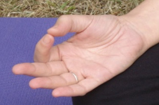 dhyana-mudra