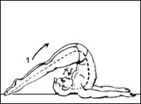 Yogasana Images