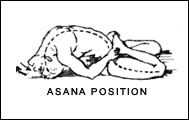 Yogasana Images