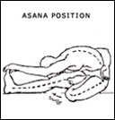 Yogasana Images