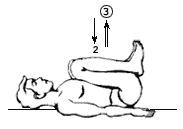 Wind-relieving pose yoga workout pavanamuktasana Vector Image