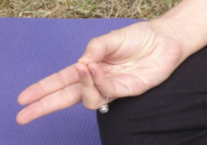 prana-mudra