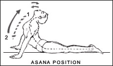 Yogasana Images