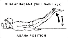 Yogasana Images