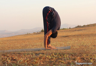 Sun Salutation