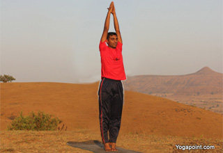 tree-pose-step