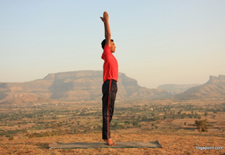 tree-pose-step