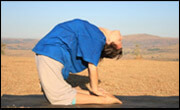 Yogasana Images