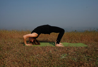 Chakrasana (Wheel Pose) The Back bend Asana & it's Benefits. – The Journey  of Yoga