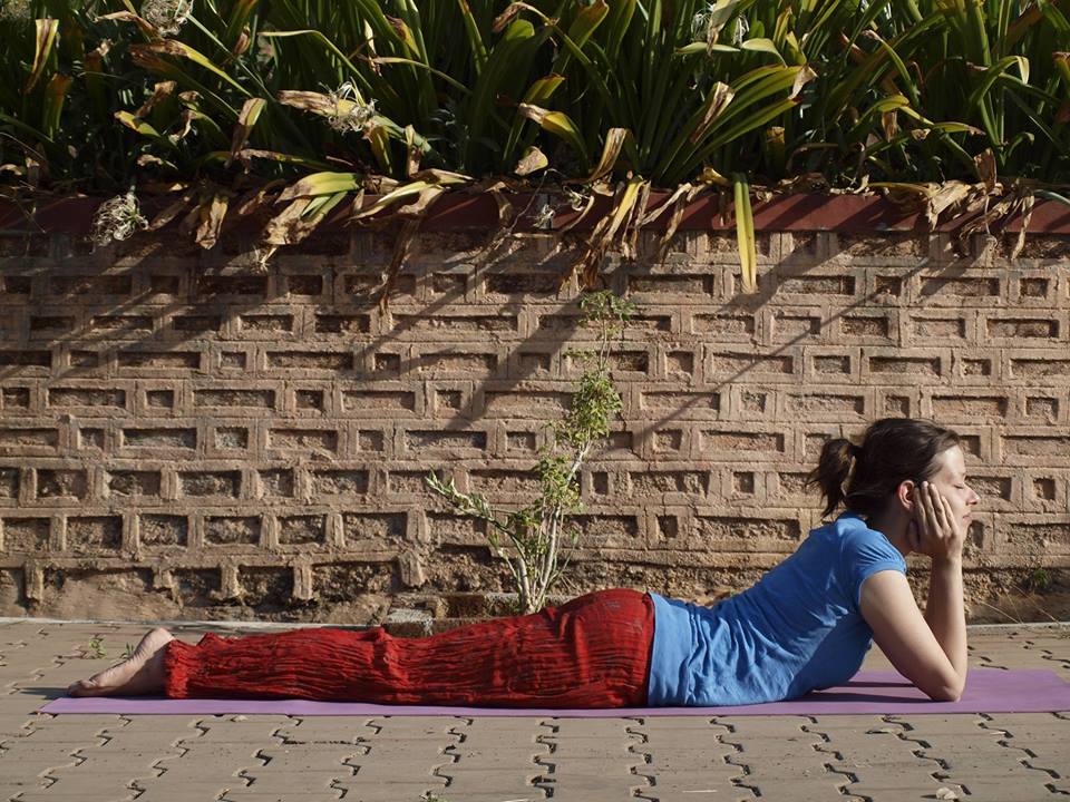 Yoga Point Yoga Poses, Pranayama, Meditation, Lifestyle, yoga therapy